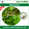 Resveratrol 98% (Giant Knotweed Extrakt)